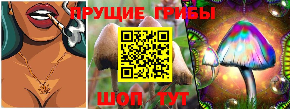 Псилоцибиновые грибы мухоморы  Галлюциногенные грибы Psilocybine cubensis  где купить наркотик  Будённовск  Вход с VPN 
